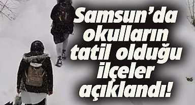 Samsun'da 13 ilçede eğitime 1 gün ara verildi