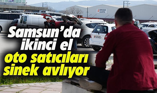 Samsun'da ikinci el oto pazarında esnaf sinek avlıyor