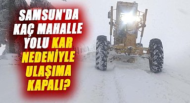 Samsun'da kaç mahalle yolu kar nedeniyle ulaşıma kapalı?