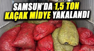 Samsun’da kaçak midye operasyonu! 1,5 ton ele geçirildi