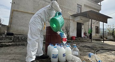 Samsun’da kahverengi kokarca alarmı! Bidonunu getir, böcek ilacını kap!