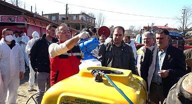 Samsun'da kahverengi kokarcaya karşı biyosidal ilaç