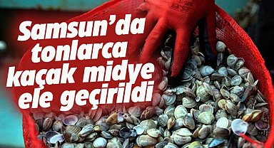 Samsun'da şüpheli araçtan 2 ton kaçak midye çıktı