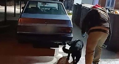 Samsun’da Tony, uyuşturucuyu araçta buldu