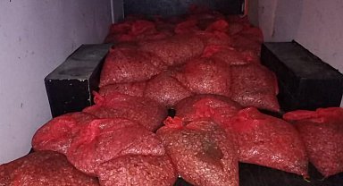 Samsun’da yasadışı midye avcılığına suçüstü!