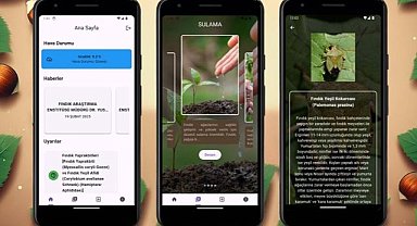 Samsun Üniversitesi’nden fındık üreticilerine yapay zeka destekli mobil uygulama