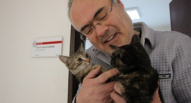 Samsunlu profesörden örnek hareket! Kedileri çalışma odasında besliyor