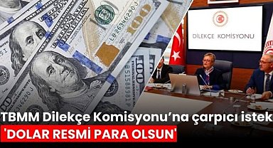 TBMM Dilekçe Komisyonu’na çarpıcı istek: 'Dolar resmi para olsun'