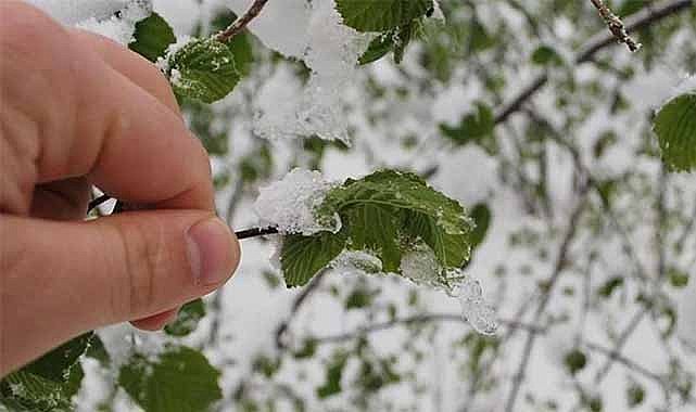 Valilik peş peşe çağrı yaptı! Vatandaşlar dikkat!