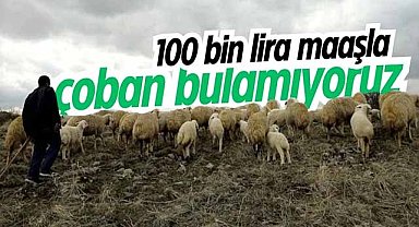 100 bin lira maaşla çoban bulamıyoruz