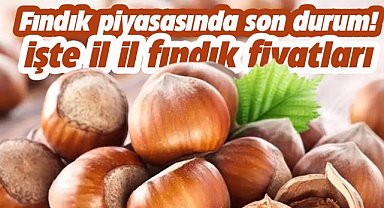 26 Nisan fındık fiyatları ne kadar? 