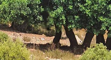 3 gündür kayıp olarak aranan 24 yaşındaki genç kız ölü bulundu!