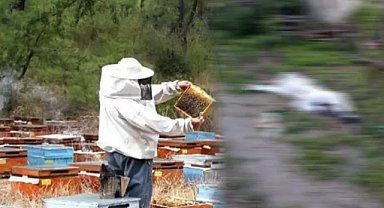 Adana'da feci ölüm! Üzerinde korumalı kıyafet olmasına rağmen arı soktu