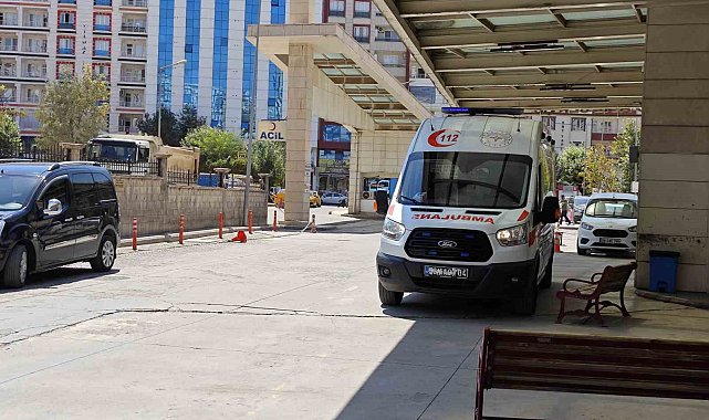 Atın ısırdığı çocuk ağır yaralandı