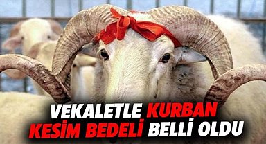Diyanet İşleri açıkladı! Vekaletle kurban kesim bedeli belli oldu