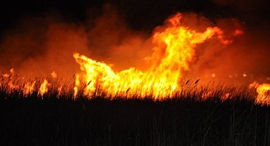 Göksu Deltası'nda yangın çıktı! Arazinin bataklık olması ekipleri zorluyor