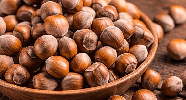 Karadeniz’in o ilinde don krizi! Fındık fiyatları fırlıyor