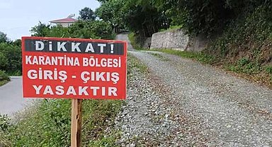 Köyde şap hastalığı alarmı! Karantinaya alındı