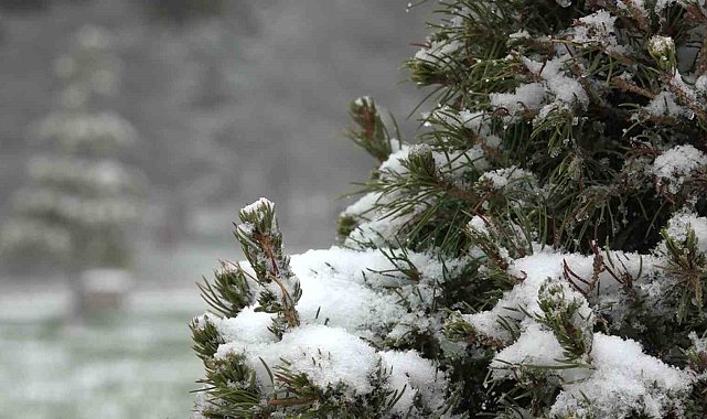 Nisanda kar yağdı, Uludağ'da yer kalmadı