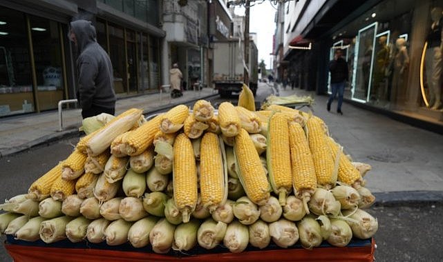 Samsun'da erkenci süt mısır satışa sunuldu