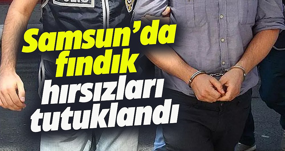 Samsun'da fındık hırsızları tutuklandı