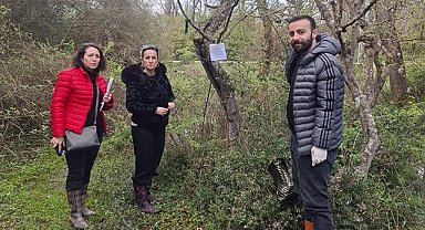 Samsun’da kahverengi kokarcaya karşı ilaçlama uyarısı