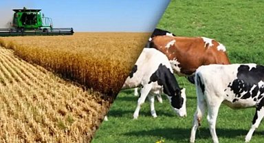 Tarım ve hayvancılık şirketi iflas etti! Konkordato talebi reddedildi