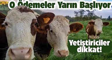 Tarım ve Orman Bakanlığı duyurdu! O ödemeler yarın başlıyor