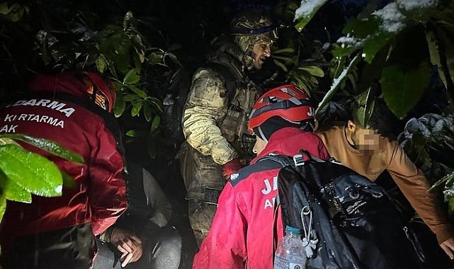 Türkiye'ye kaçak yollarla giren 4 şahıs ormanlık alanda donmak üzereyken bulundu