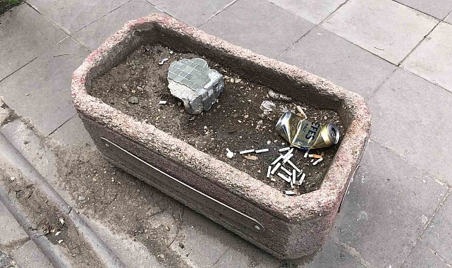 Vatandaşlar ceza ödememek için çözümü saksıda buldu