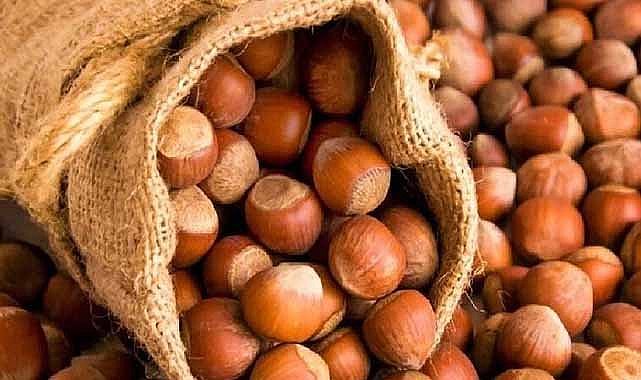 19 Mayıs fındık fiyatları ne kadar? 