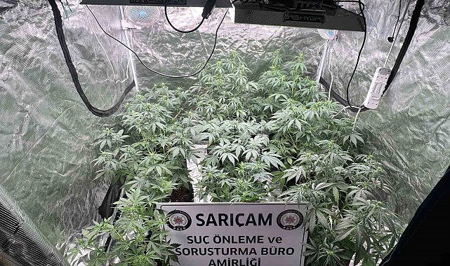 Apartman dairesine uyuşturucu serası kurmuşlar