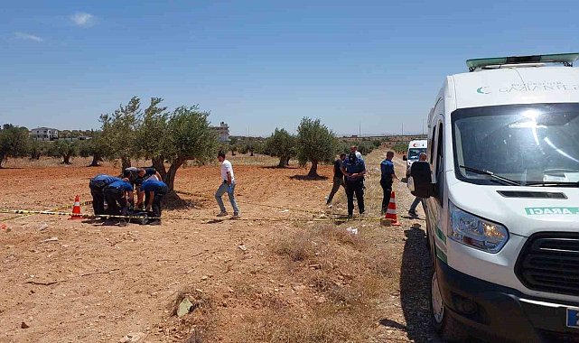 Bir genç zeytin tarlasında ölü bulundu