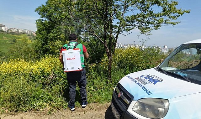 Canik'te kahverengi kokarca ile mücadele  