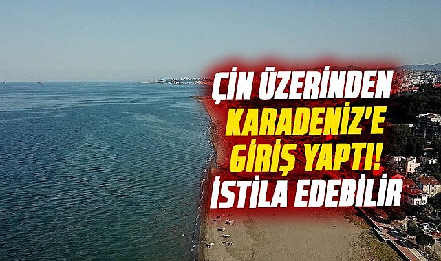 Çin üzerinden Karadeniz'e giriş yaptı! İstila edebilir