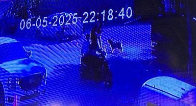 Evden kaçan köpek 2 kıza saldırdı! Sokaktaki kız kolundan yaralandı 