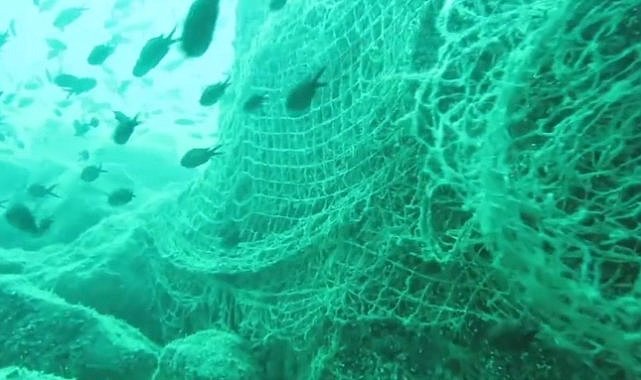Karadeniz’in derinleri yüzlerce balıkçı ağı ile dolu