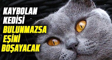 Kaybolan kedisi bulunmazsa eşini boşayacak