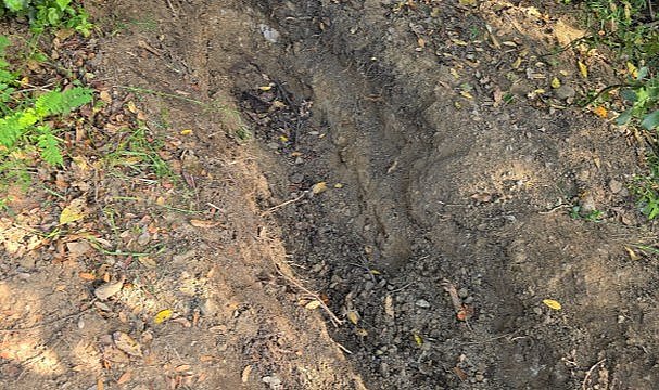 Kayıp olarak aranıyordu!  26 yaşındaki Dinçer Arslan cinayete kurban gitti