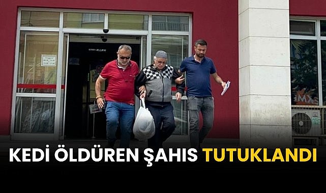 Kedi öldüren şahıs tutuklandı