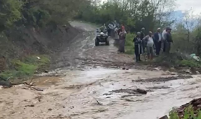 Korkunç bir ses duydu! Sürüsüne bakınca dehşete düştü
