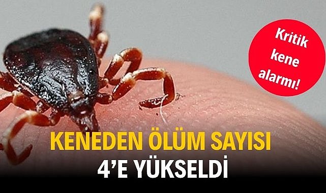 Kritik kene alarmı! Keneden ölüm sayısı 4’e yükseldi