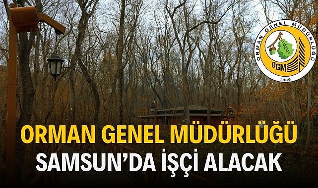 Orman Genel Müdürlüğü Samsun'da işçi alacak