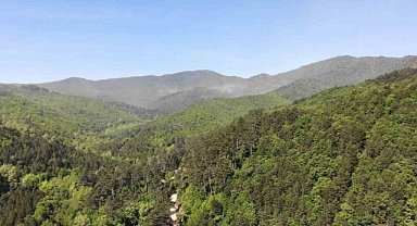 Risk oluşturan meteorolojik şartlar sonrası ormanlık alanlara giriş yasaklandı!