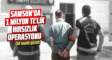 Samsun'da 1 milyon TL'lik hırsızlık operasyonu: 6 şüpheli yakalandı