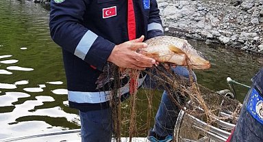 Samsun’da iç sularda av yasağı denetimleri sürüyor