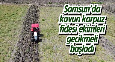 Samsun’da kavun karpuz fidesi ekimleri gecikmeli başladı