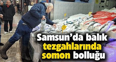 Samsun'da somon balığına yoğun ilgi
