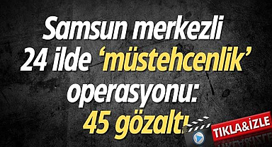 Samsun merkezli 24 ilde 'müstehcenlik' operasyonu: 45 gözaltı