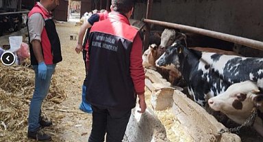 Şap hastalığı nedeniyle hayvan pazarları kapatıldı